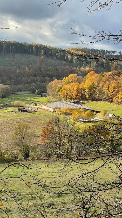 Ferienapartments Reitanlage Schenksolz Schenklengsfeld Exteriér fotografie